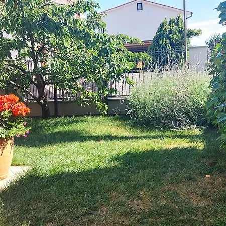 Apartma Vida